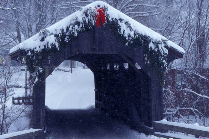webassets/ChristmasBridge.jpg
