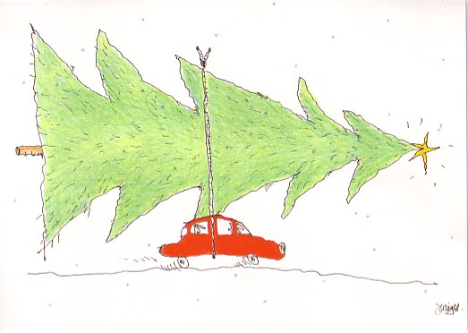 webassets/tree_on_car.jpg